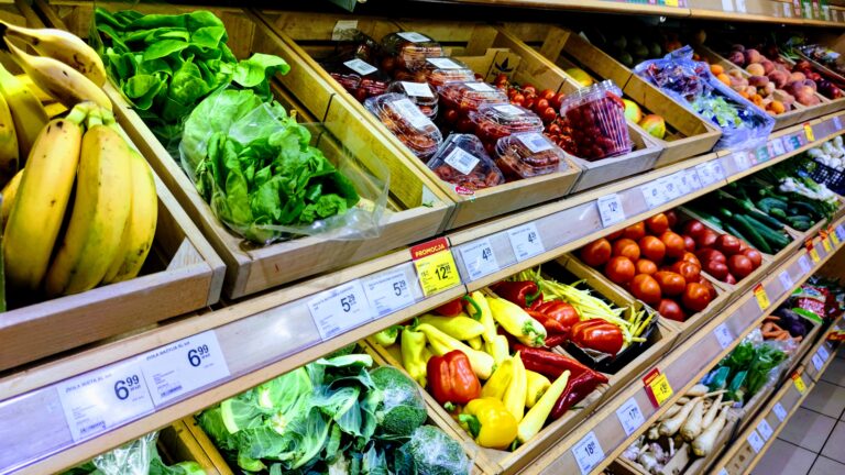 IMG_20220701_091303 (1)